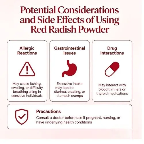 Potential Considerations and Side Effects of Using Red Radish Powder Potential Considerations and Side Effects of Using Red Radish Powder