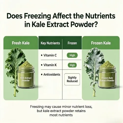 kale extract affect