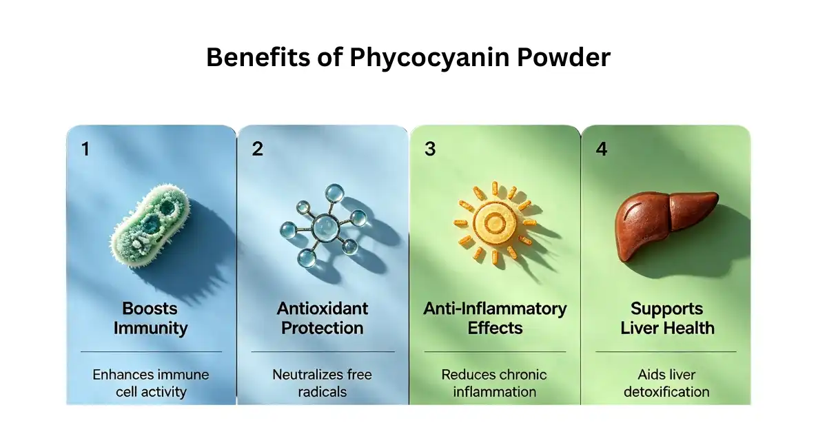 Benefits of Phycocyanin Powder Benefits of Phycocyanin Powder