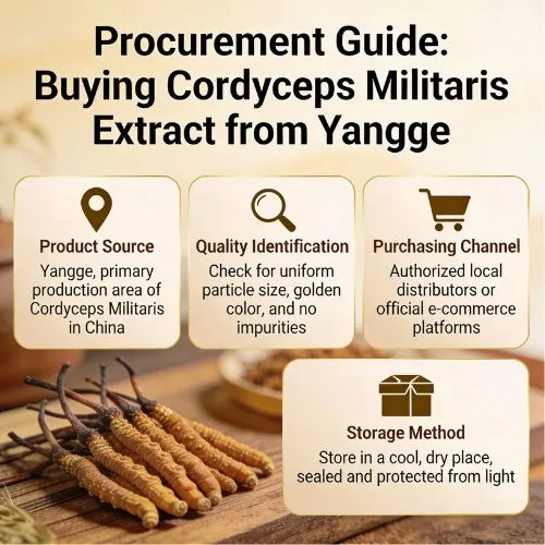 Procurement Guide Buying Cordyceps Militaris Extract from Yangge