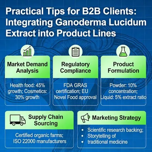 Practical Tips for B2B Clients Integrating Ganoderma Lucidum Extract into Product Lines