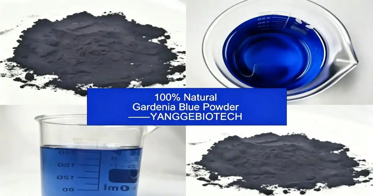 gardenia blue powder (2) gardenia blue powder (2)