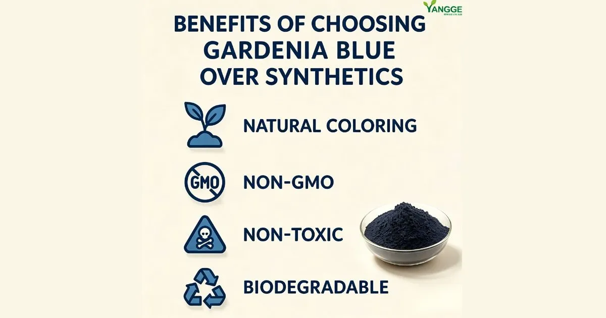 gardenia blue powder benefits