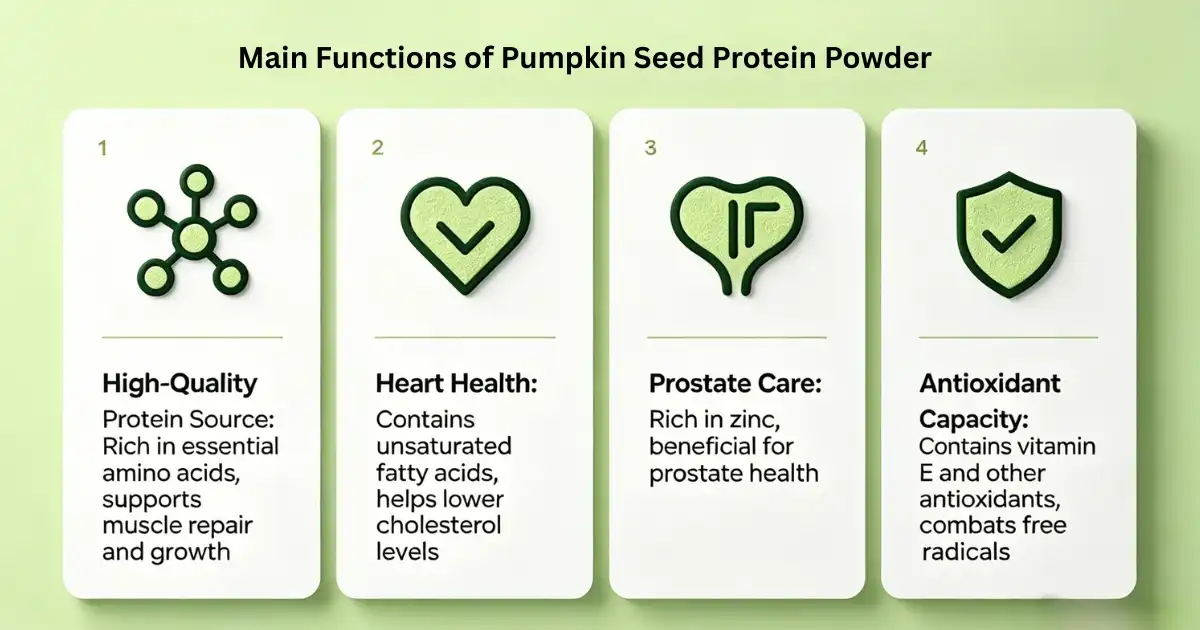 Main Functions of Pumpkin Seed Protein Powder Main Functions of Pumpkin Seed Protein Powder