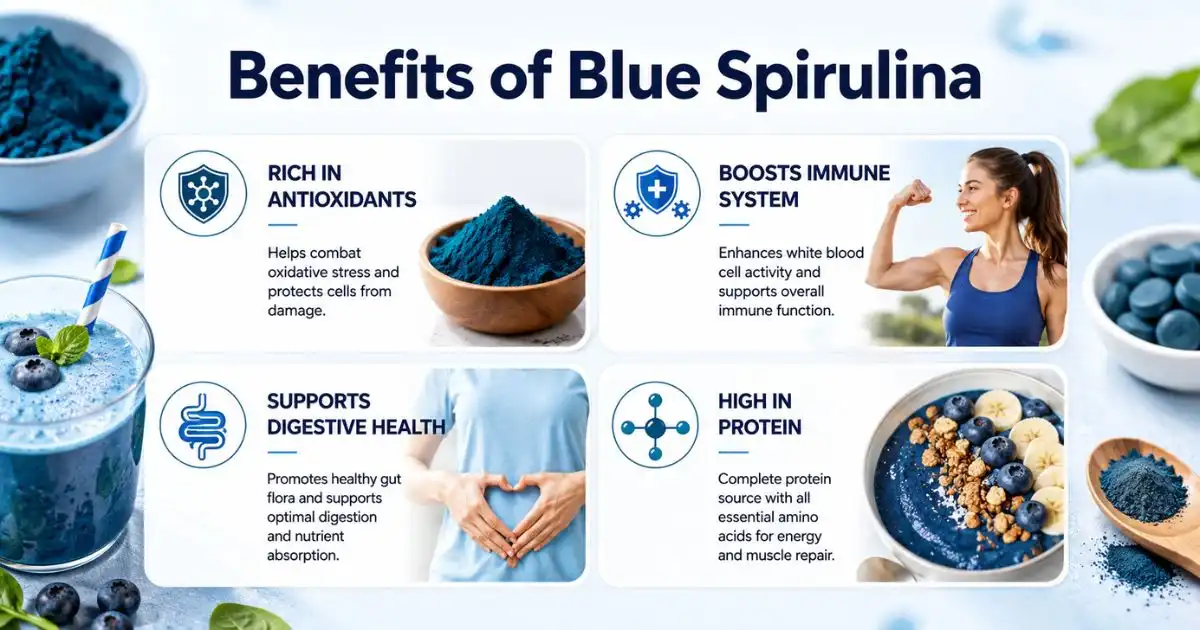 blue spirulina benefits (1)