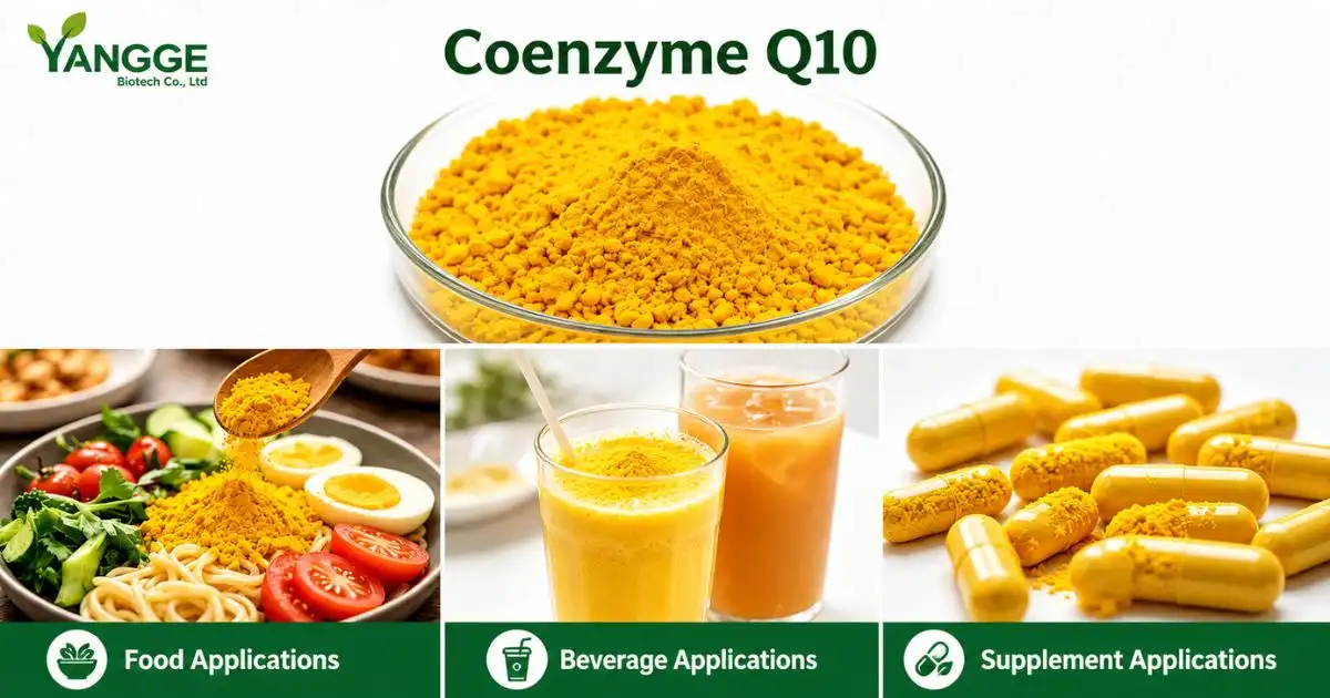 coenzyme application coenzyme application