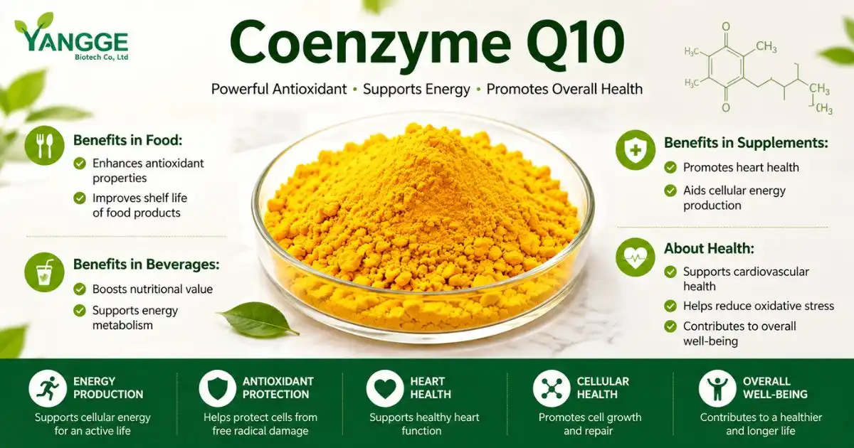 coenzyme benefits coenzyme benefits