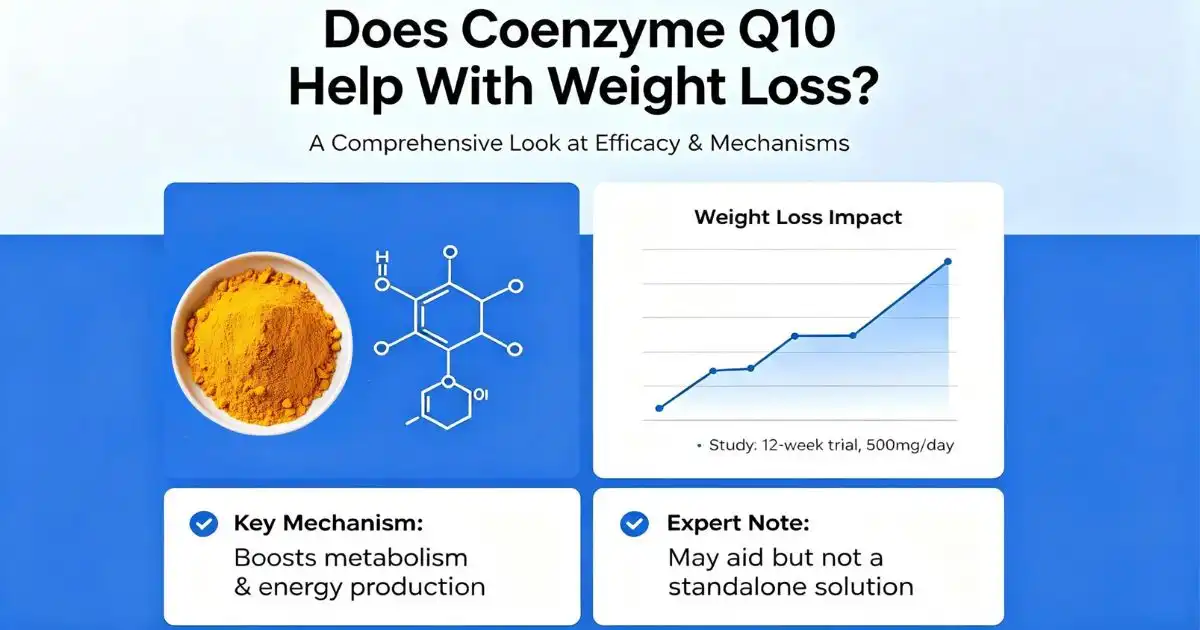 coenzyme help weight loss coenzyme help weight loss