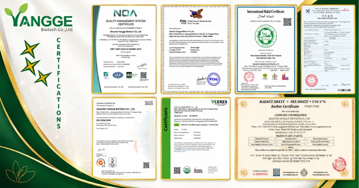 certificate new certificate new