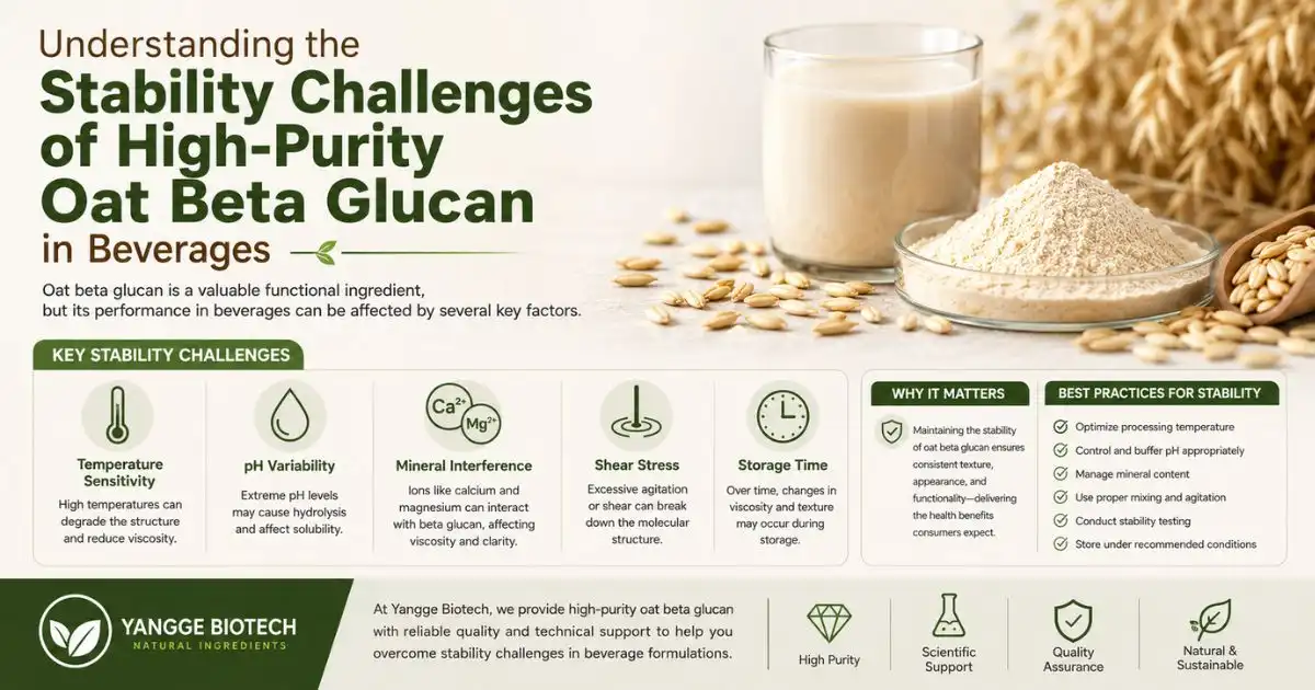 High-Purity Oat Beta Glucan in Beverages High-Purity Oat Beta Glucan in Beverages