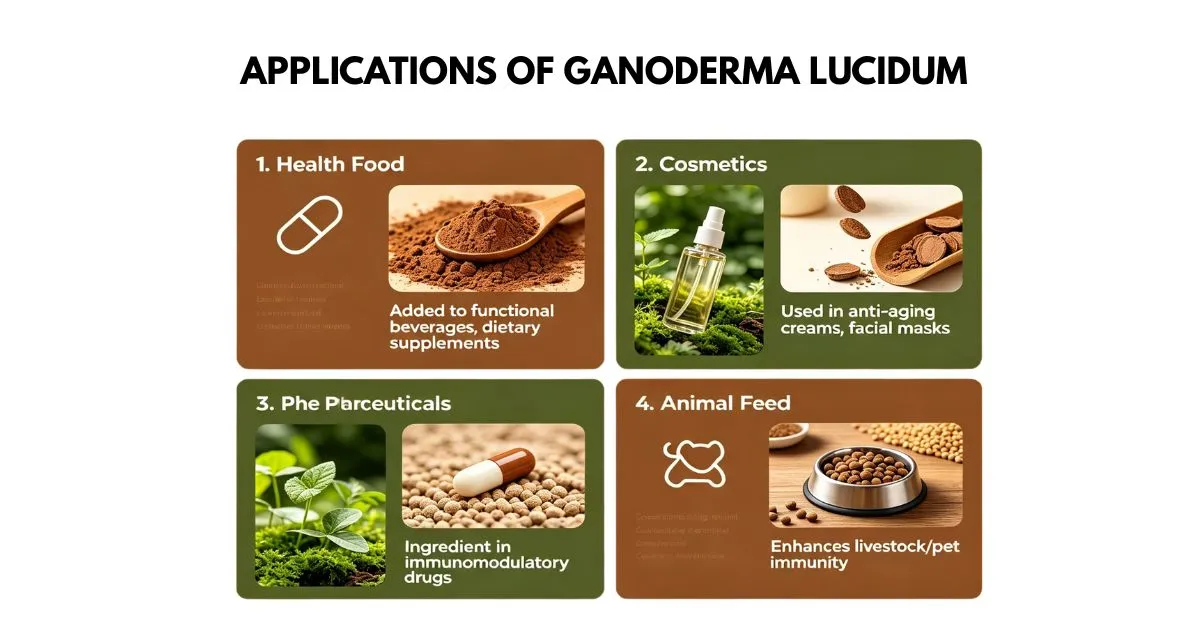 ganoderma application