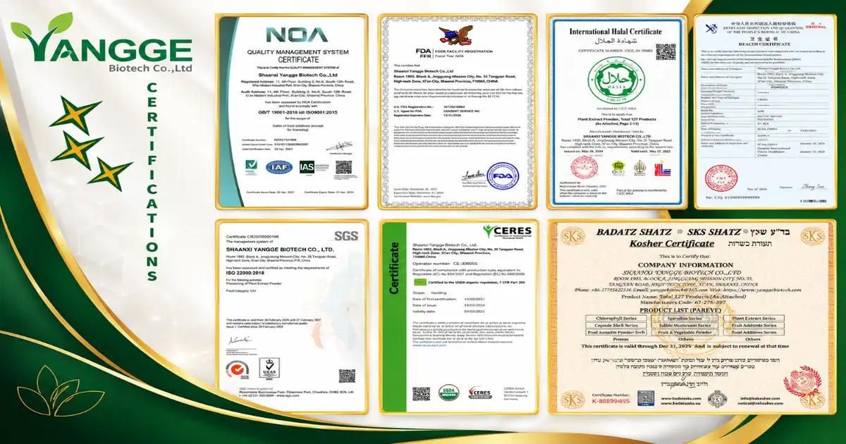 certificate new2.jpg