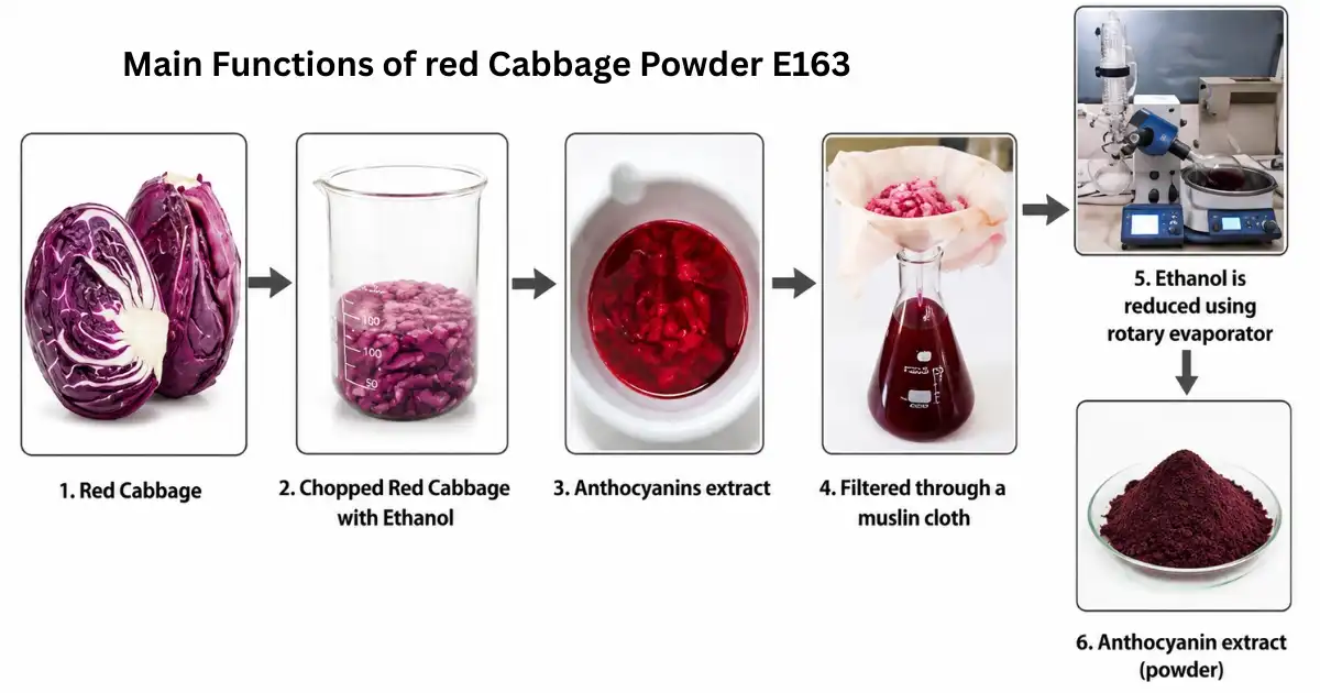 red cabbage powder main functions red cabbage powder main functions