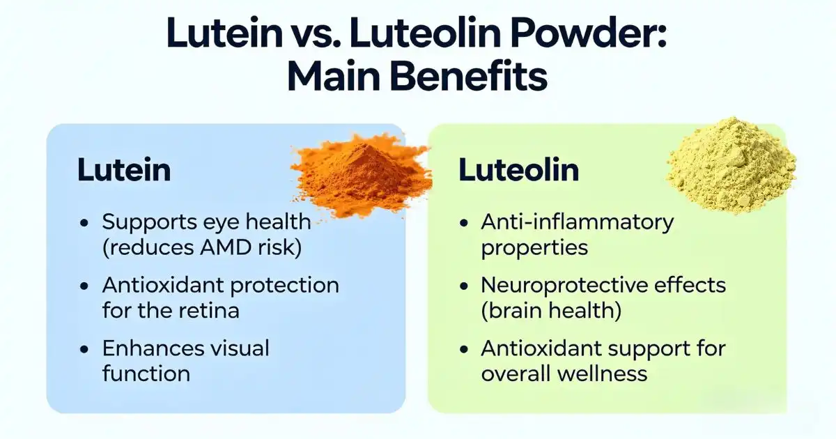 luteolin and lutein benefits