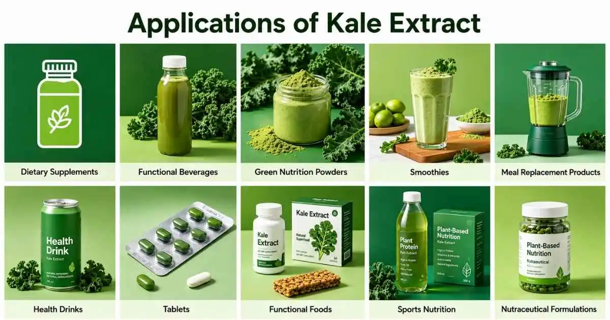 kale extract powder application kale extract powder application