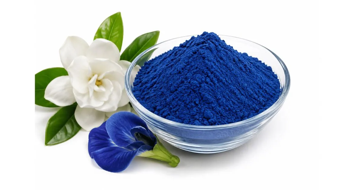 gardenia blue powder (2)