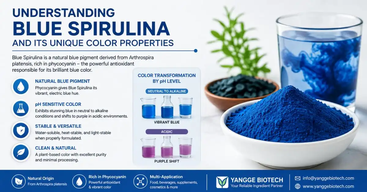 blue spirulina understanding (1)