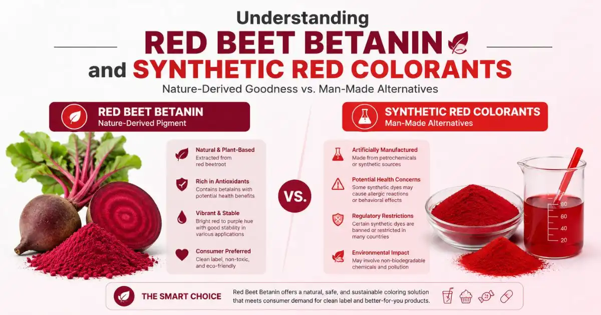 red betanin understanding red betanin understanding