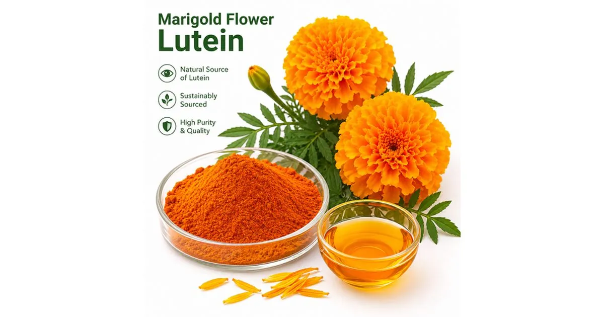 marigold flower lutein