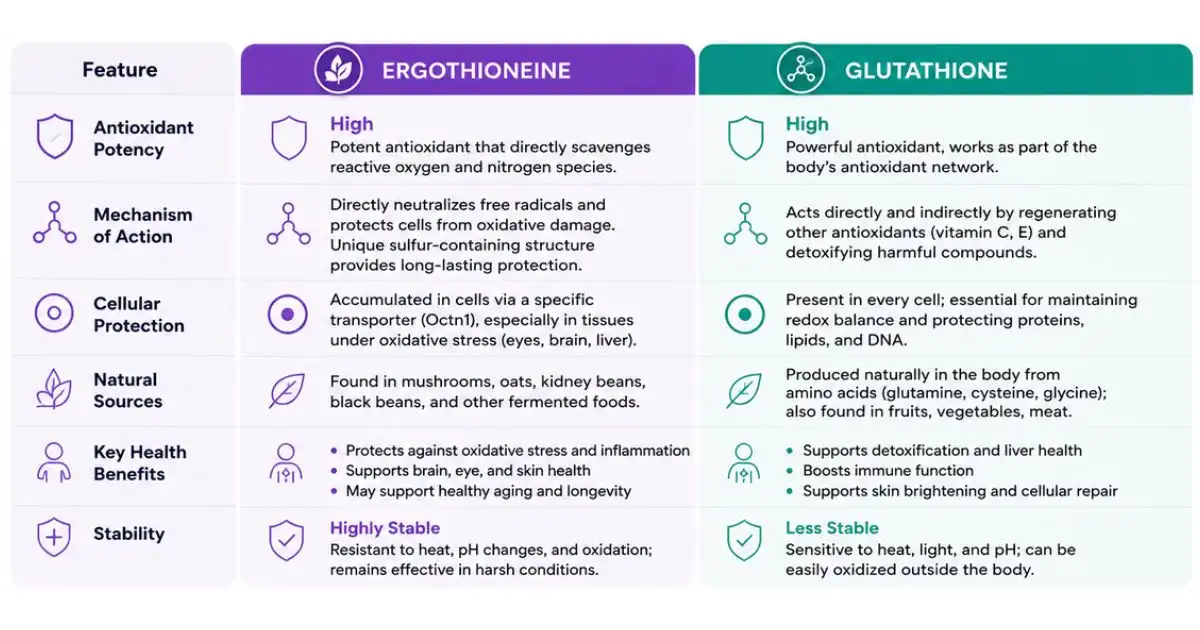 ergothioneine powder Benefits