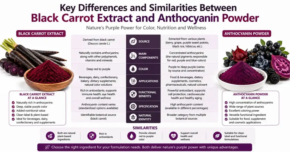 key differences black carrot