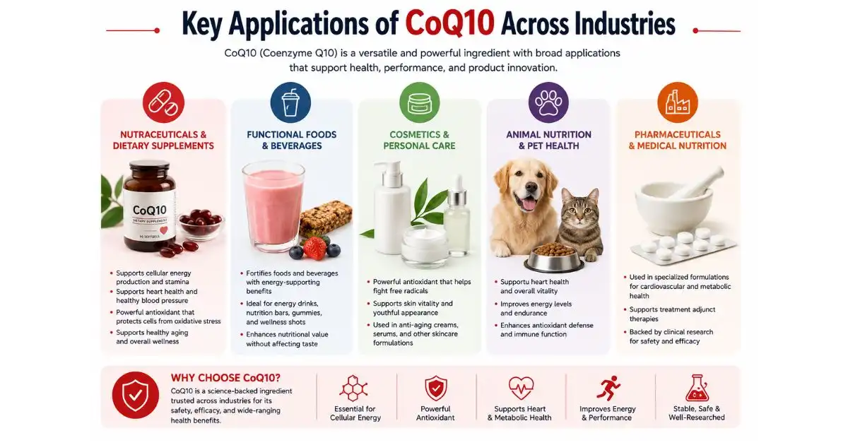 coq10 key applications