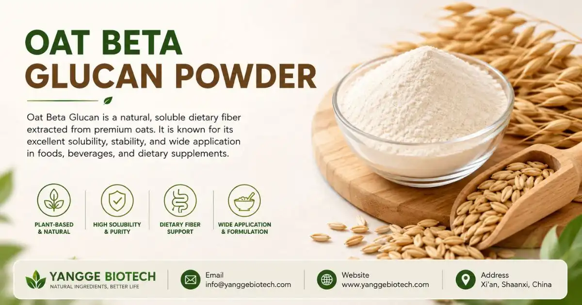 oat beta glucan oat beta glucan