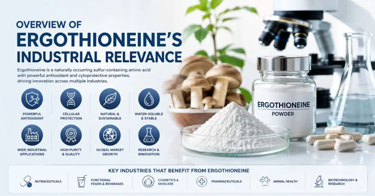 ergothioneine overview