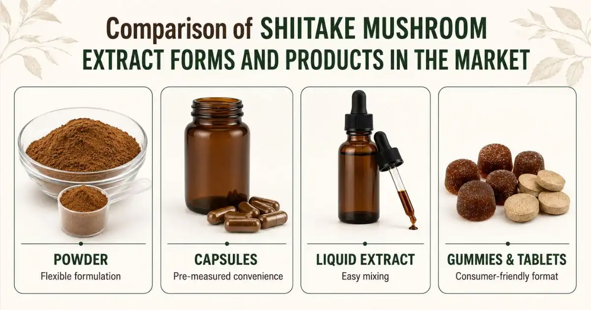 Comparison of Shiitake Mushroom Extract Forms and Products in the Market Comparison of Shiitake Mushroom Extract Forms and Products in the Market