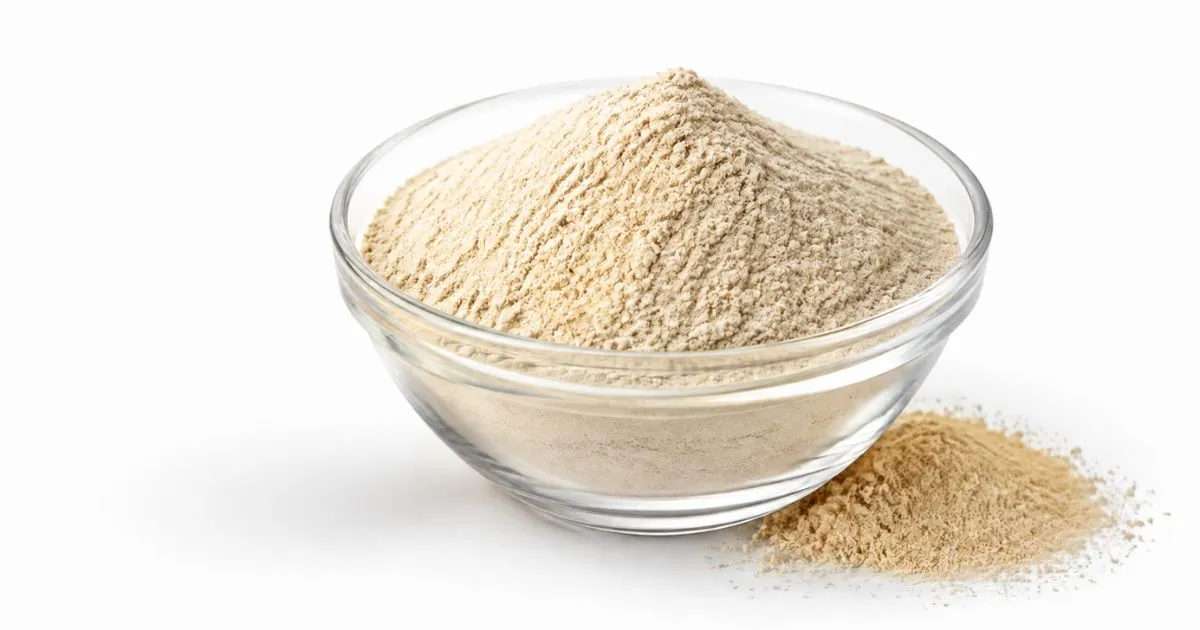 lions mane powder (2)