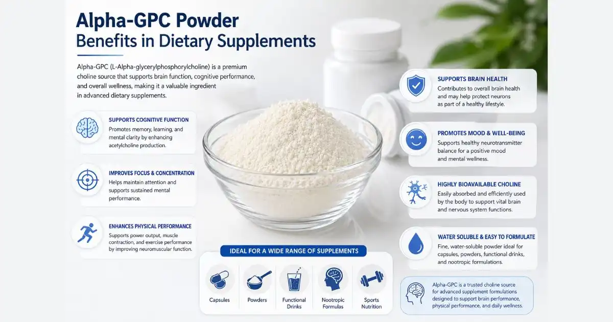 Alpha-GPC Powder Benefits in Dietary Supplements Alpha-GPC Powder Benefits in Dietary Supplements