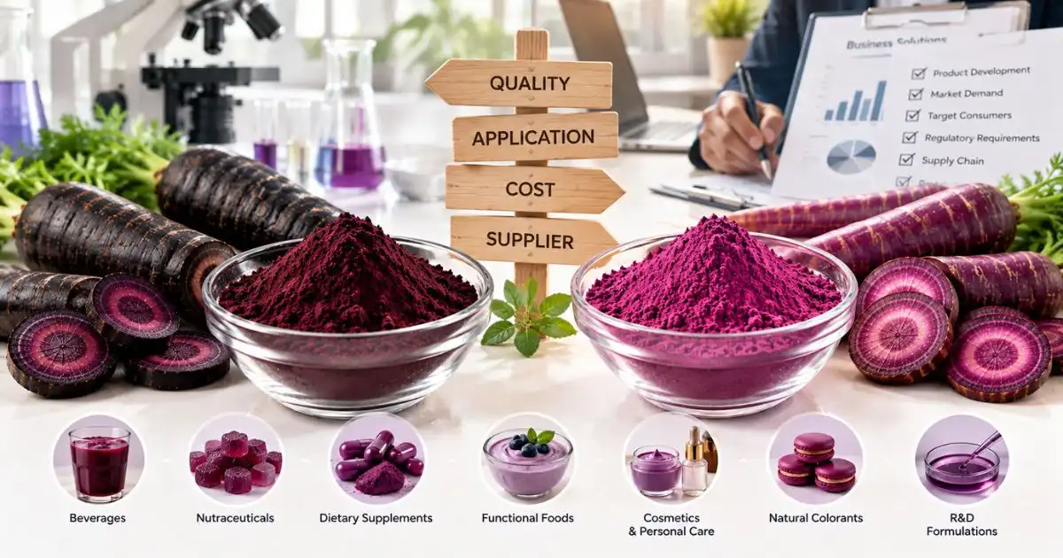 Choosing the Right Extract for Your Business Needs Choosing the Right Extract for Your Business Needs