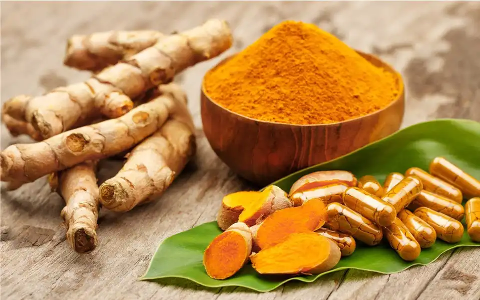 Berberine Hydrochloride: Benefits and Uses