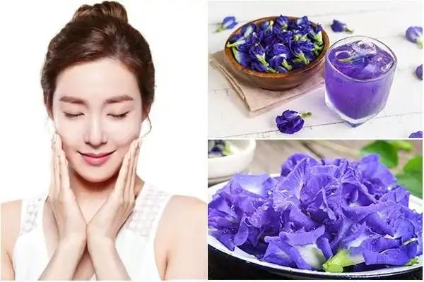 How Butterfly Pea Powder Supports Skin Health?