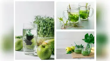 How to Use Liquid Chlorophyll for Health Benefits?
