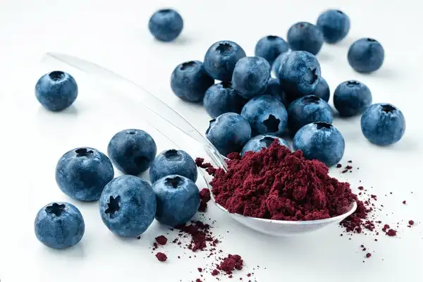 Boost Immunity with Blueberry Extract Anthocyanins