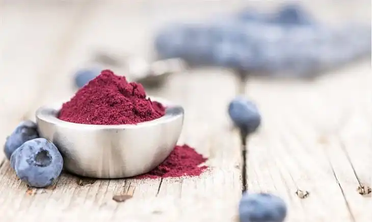 Blueberry Extract Anthocyanins for Brain Health