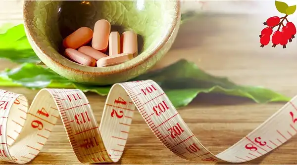 Berberine Hydrochloride for Weight Loss