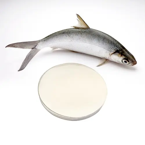 Hydrolyzed Fish Collagen: The Secret to Joint Health