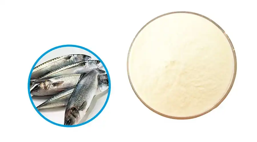 Hydrolyzed Fish Collagen: Your Ultimate Anti-Aging Solution