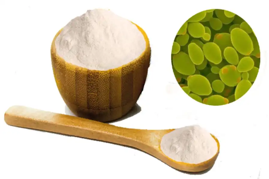Exploring Yeast Extract Beta Glucan in Nutrition