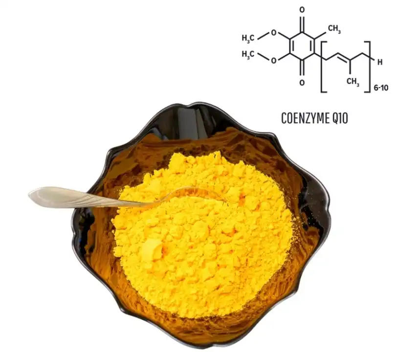 Coenzyme Q10: A Natural Energy Booster for Athletes